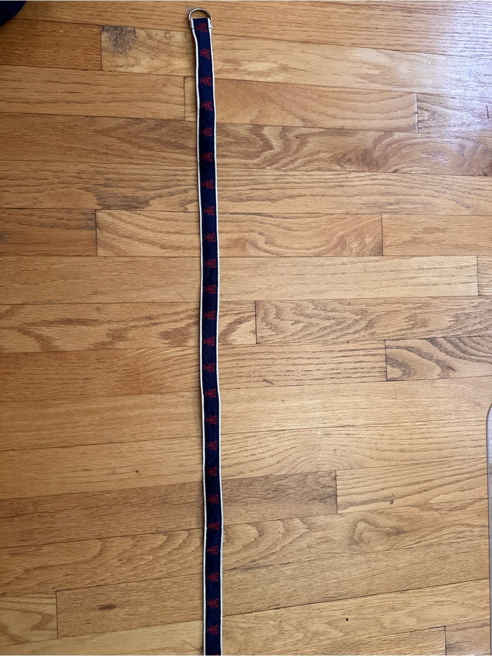Bean Belts youth size 8 lobster belt
